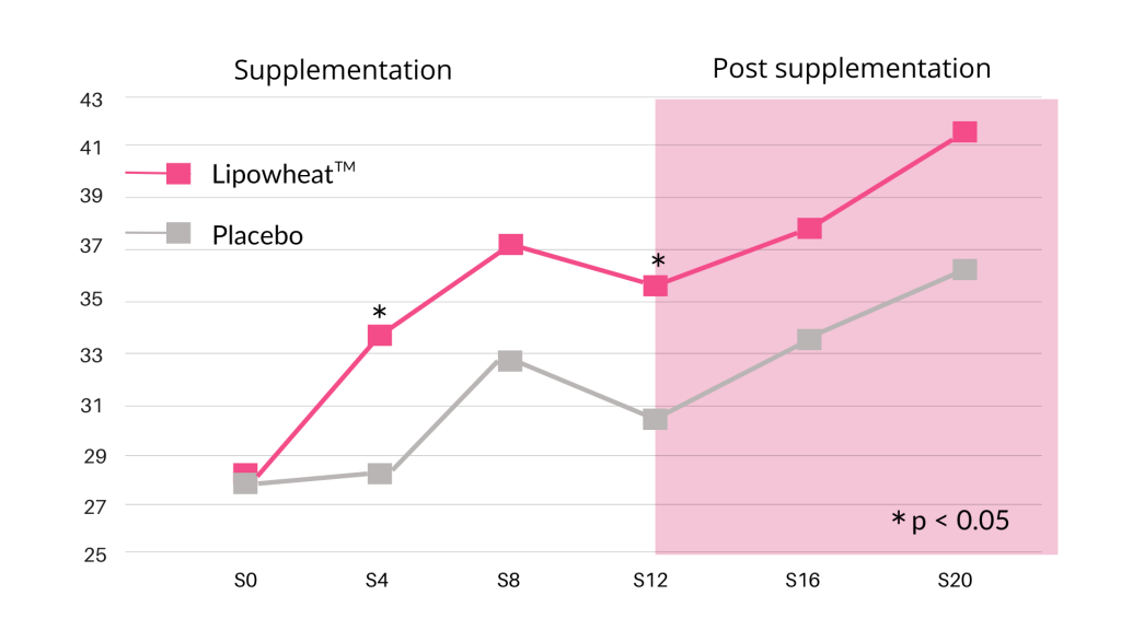 Hydration after taking Lipowheat